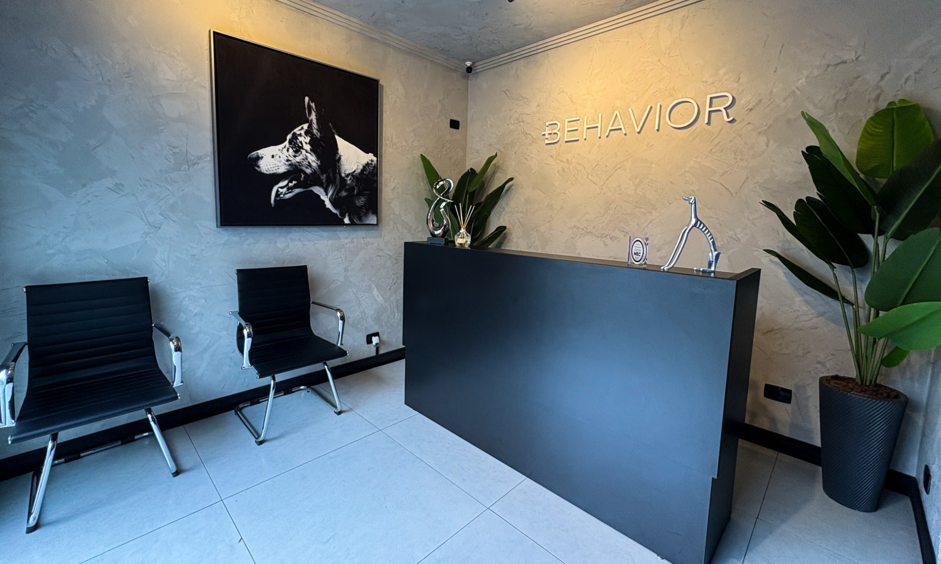 Recepção da +Behavior com o letreiro da marca e ambiente de atendimento