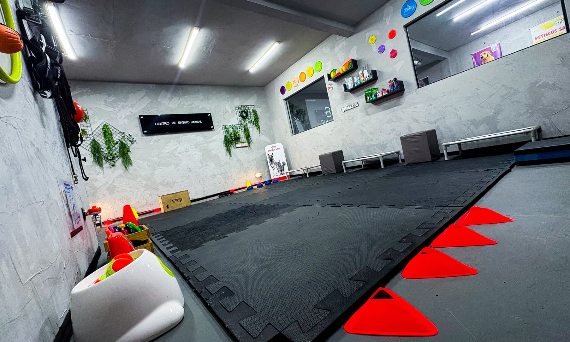 Sala de adestramento de cães da +Behavior, com piso protegido e materiais de ensino